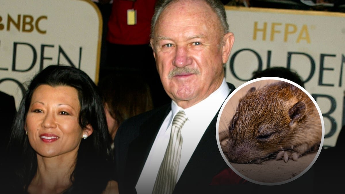 ¿Qué es el hantavirus? La infección detrás de la muerte de la mujer de Gene Hackman