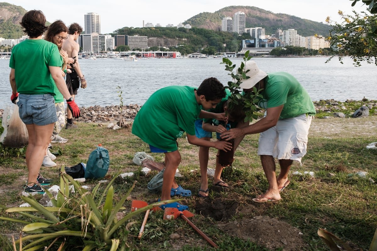 Cansados de esperar que los políticos hagan algo, voluntarios brasileños reverdecen sus ciudades | América Futura