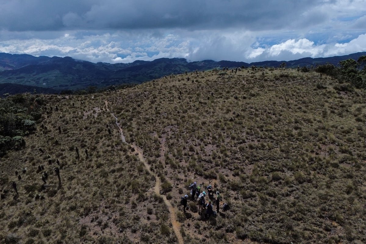 Colombia: El páramo más costoso del mundo