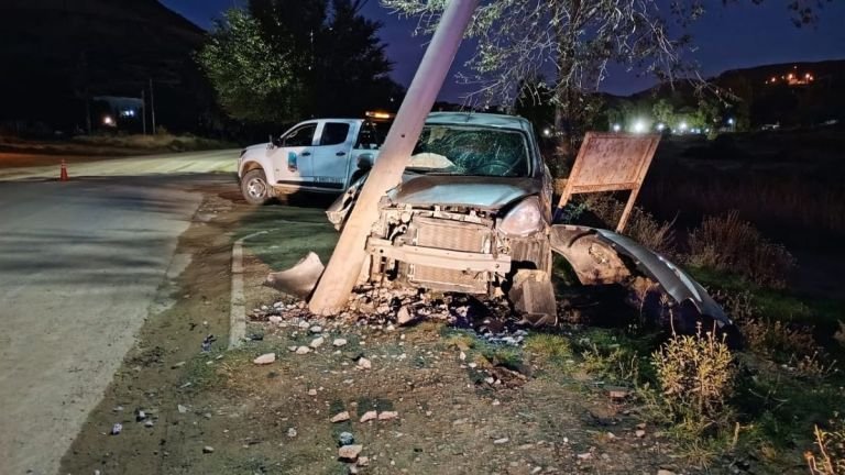 Conductor alcoholizado chocó su vehículo contra una palma en barrio Laprida