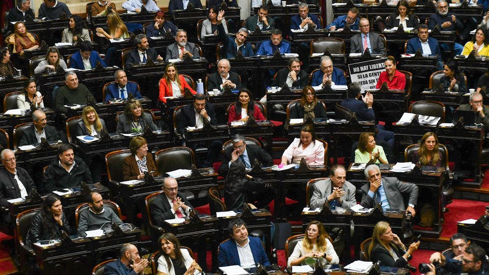 Contra el ajuste a las personas jubiladas y con discapacidad | La oposición logró avanzar en Diputados con iniciativas para revertir la motosierra a los más vulnerables