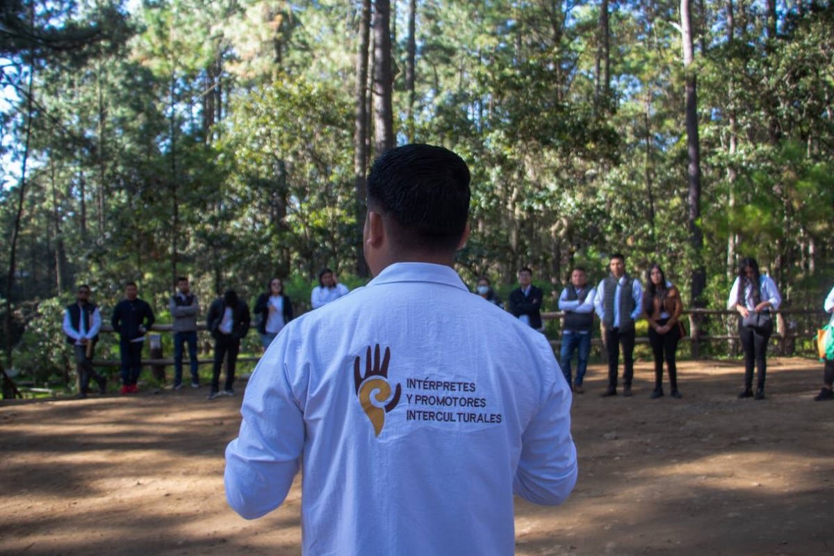 De iniciativa universitaria a organización de intérpretes para ayudar a los indígenas inmigrantes en Estados Unidos