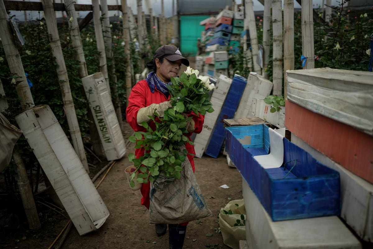 La derecha colombiana toma con pinzas las políticas aduaneras de Trump