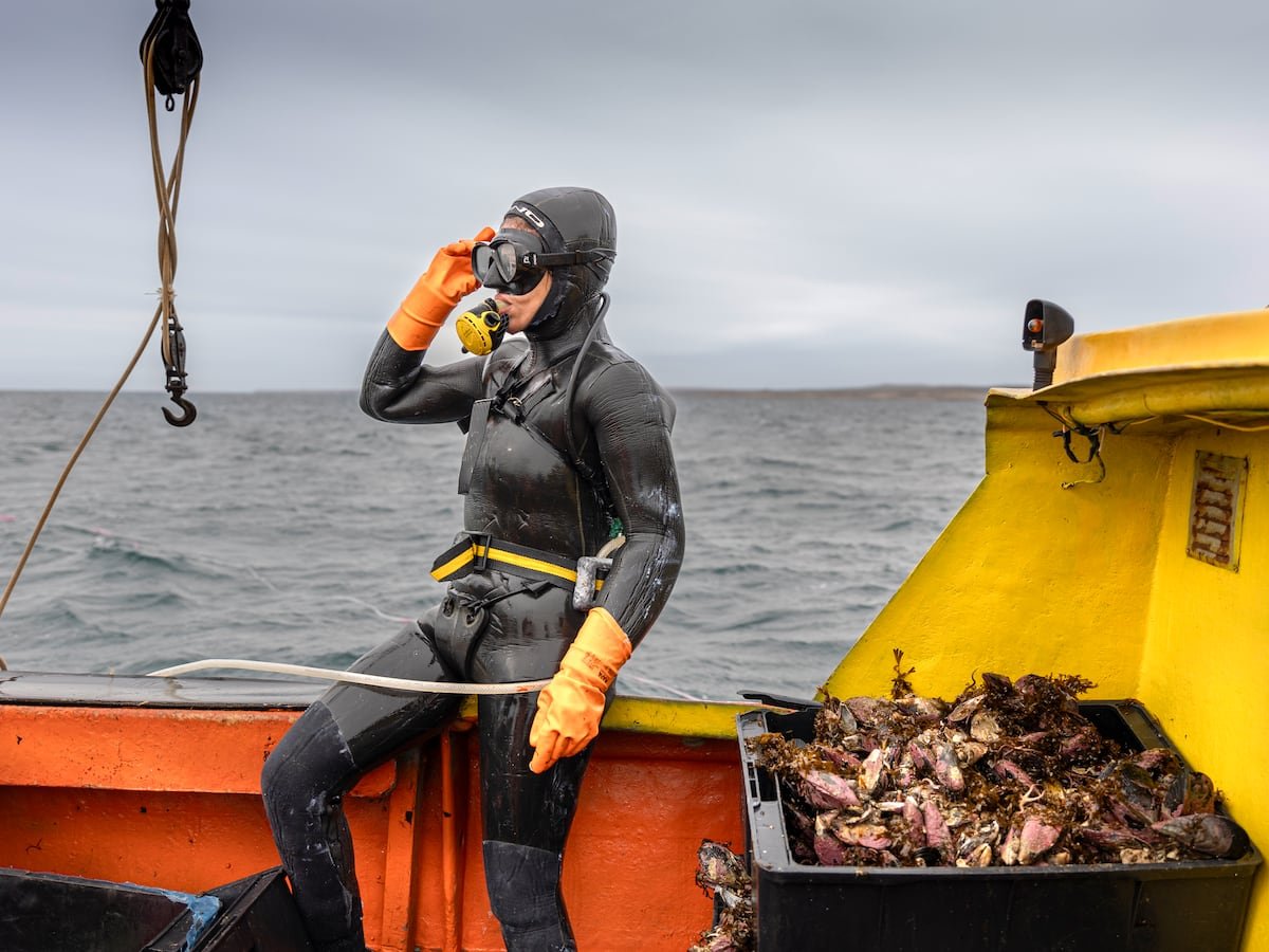 Las mujeres del mar se abren espacio en la Patagonia argentina | América Futura