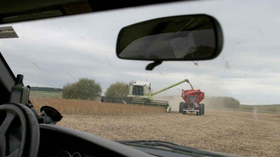 Malestar en el agro por el apriete de Milei para que liquiden sus cosechas de granos | “Buscamos reglas claras, no una extorsión”