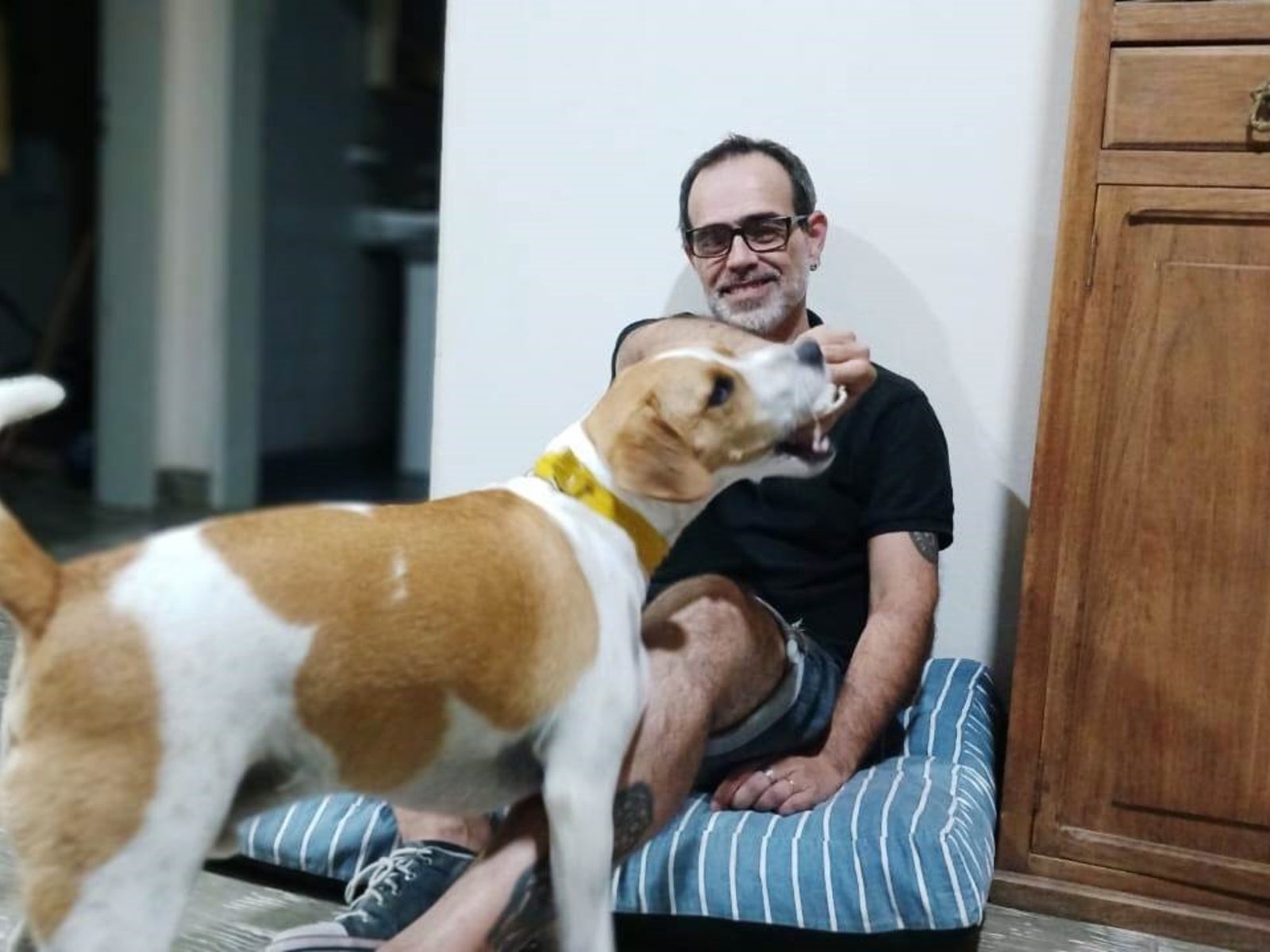 Mundos íntimos. Una lluvia mojó mis libros, me puse furioso, mi perro escapó. Al hallarlo, lo abracé y entendí qué es lo importante.