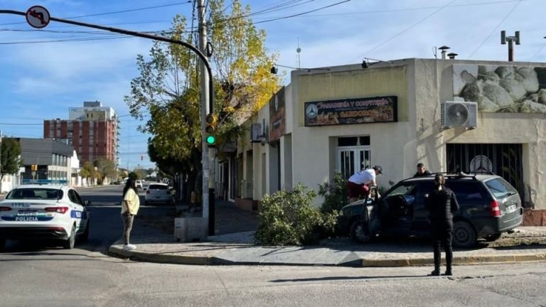 Perdió el control del auto, subió a la vereda y arrancó un árbol