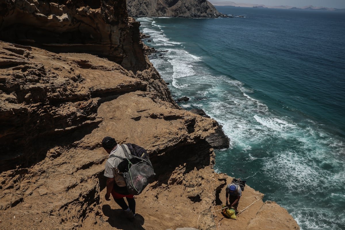 Reserva Nacional de Paracas: Gabriel Franco, la lucha de un pescador de Perú contra quienes dinamitan el mar | Planeta Futuro
