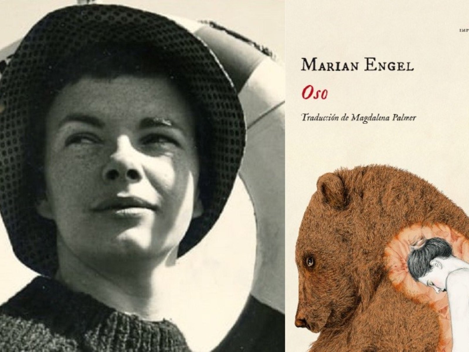Una novela erótica explica por qué es mejor enamorarse de un oso (y no de un hombre)
