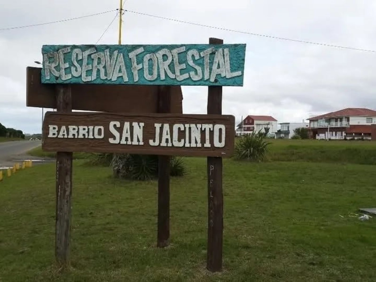Vecinos de un barrio de Mar del Plata denuncian envenenamiento de perros y temen que se trate de un plan delictivo