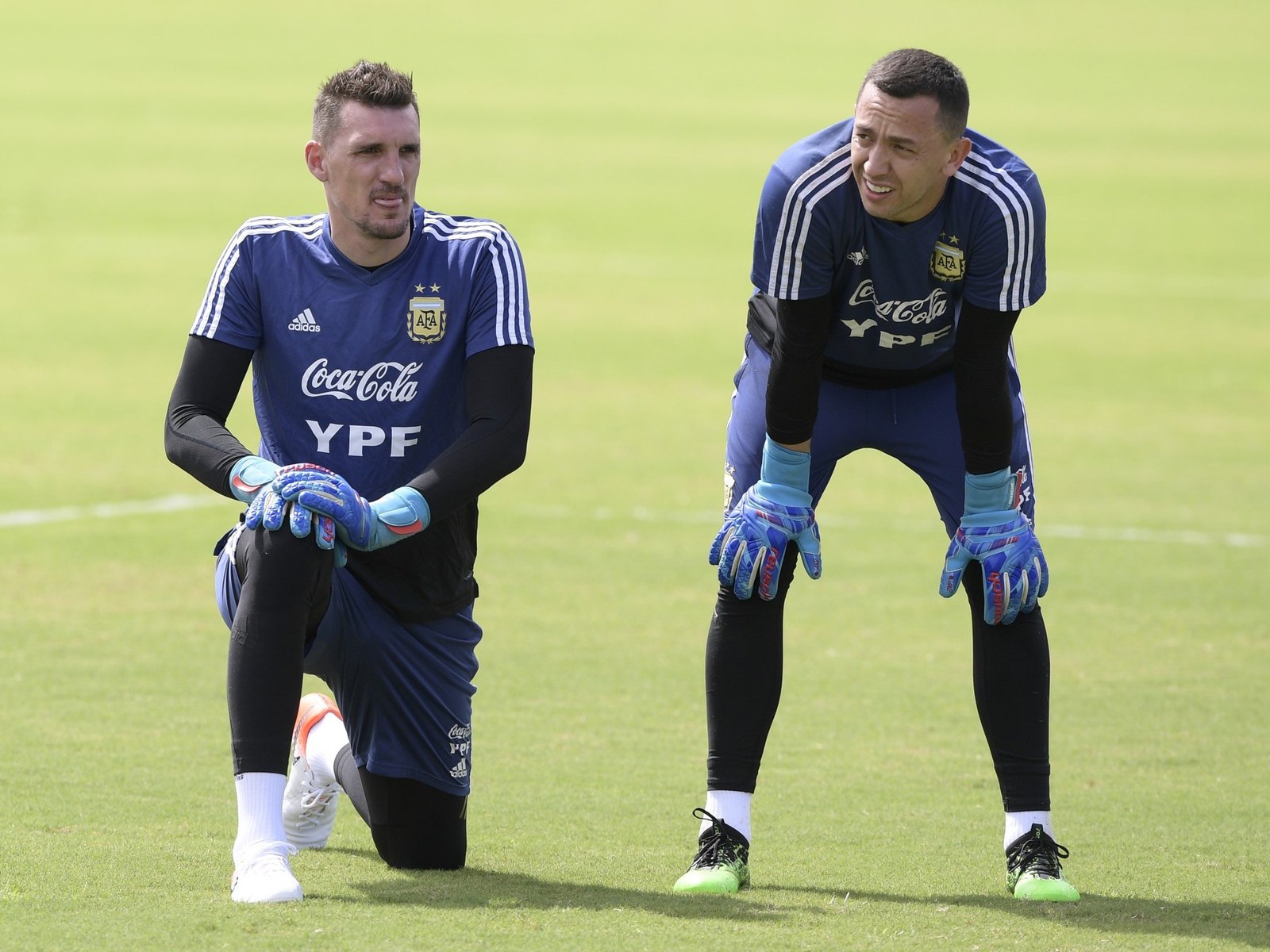 cotización, promedio y quién es el más elegido ¿Armani o Marchesín?