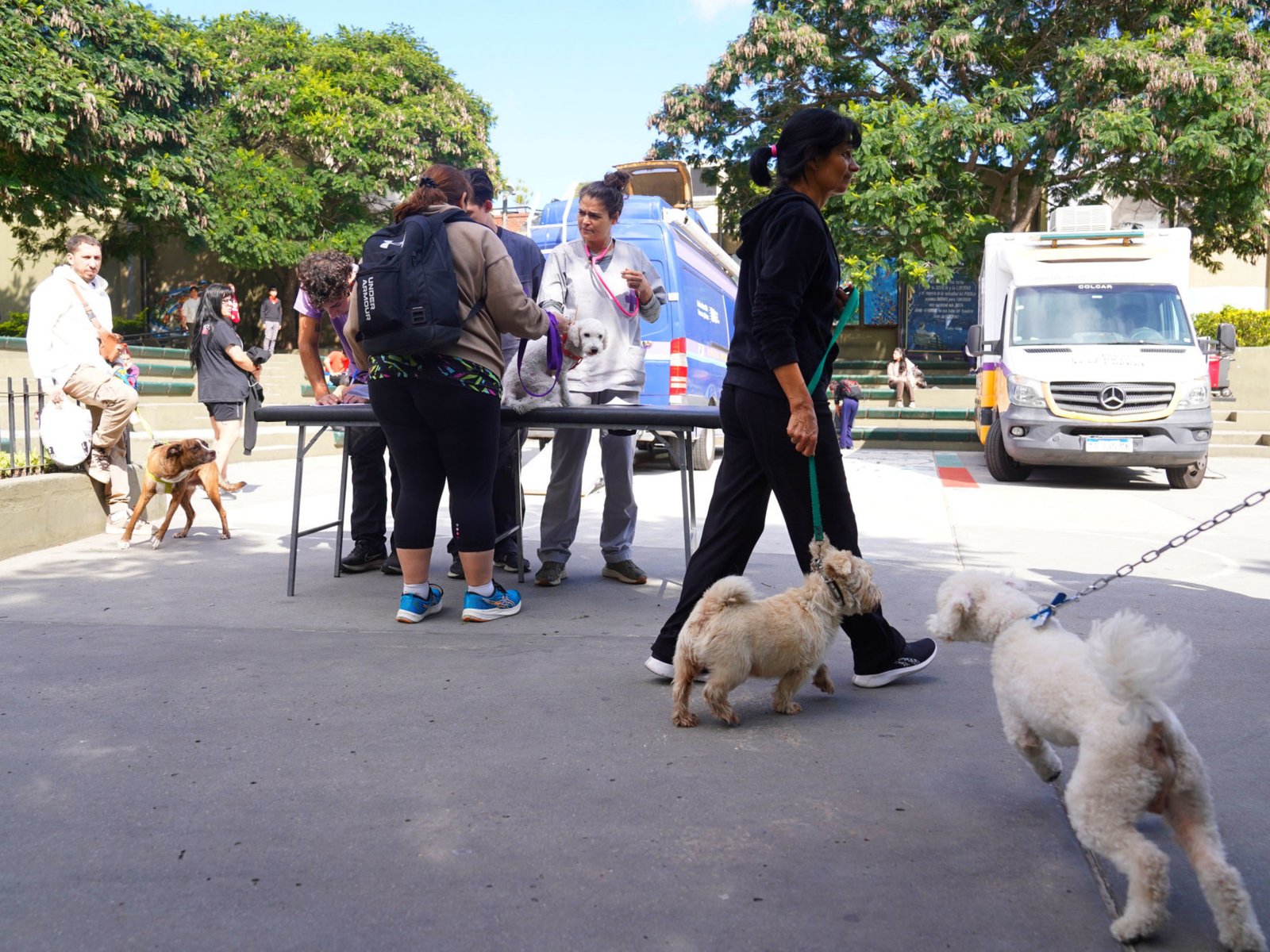 cuánto cuestan las prepagas para mascotas y las opciones para atenderlas en el sector público