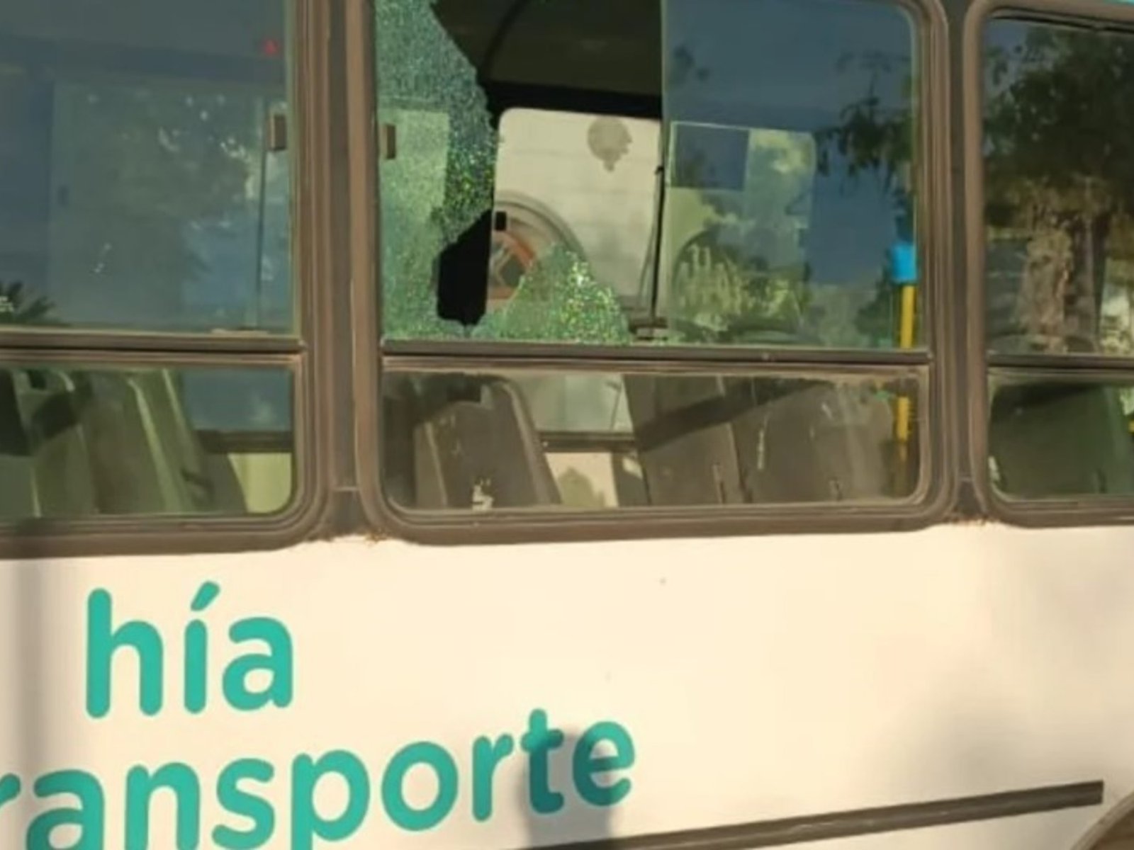 en Bahía Blanca atacaron con piedras a unos 15 colectivos y tuvieron que suspender el servicio