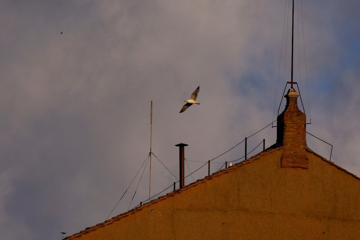 El cónclave para la elección del nuevo papa, en directo | Los cardenales reanudan el proceso para nombrar a un nuevo pontífice con una Iglesia dividida | Internacional