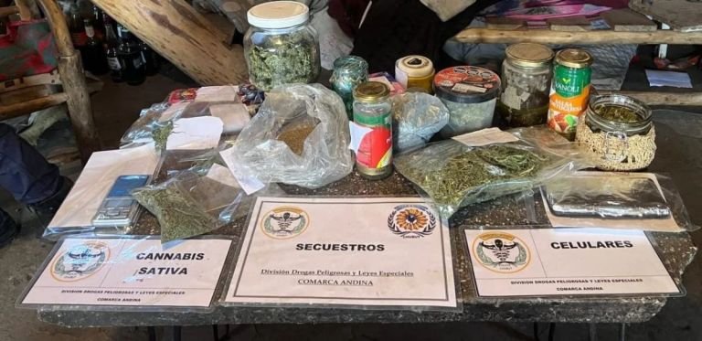 Desarticulan presunto punto de venta de drogas en un operativo llamado “Huella Verde”