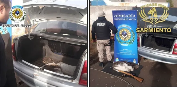 Detienen a un hombre con un ñandú en el baúl y un rifle ilegal