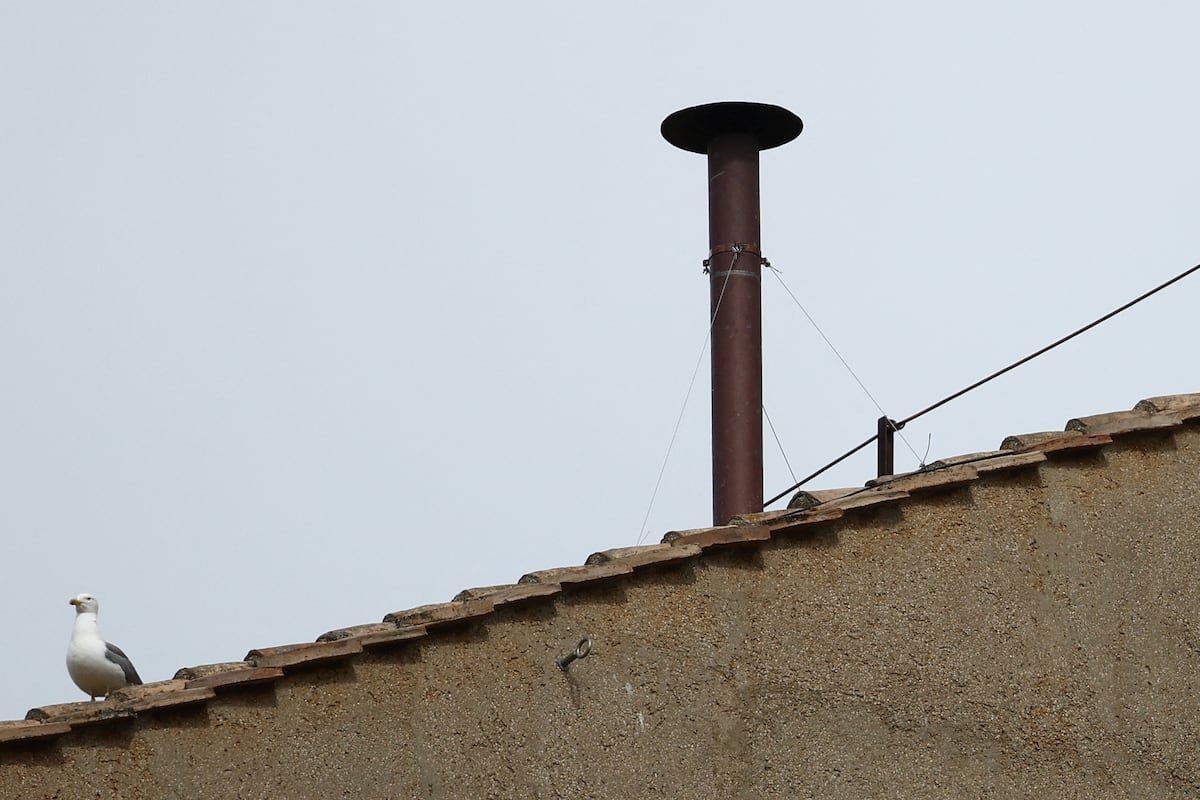 La chimenea del Vaticano donde ver la fumata del Cónclave, en directo