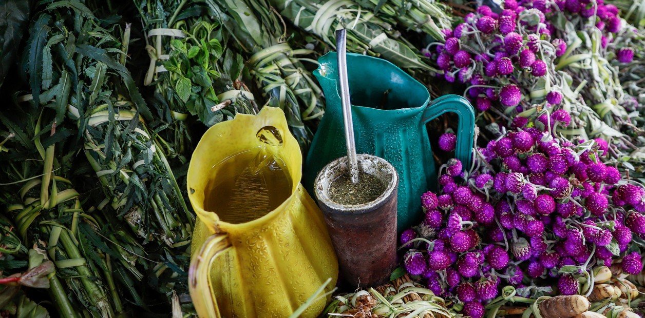 Qué pasa cuando ponés yerba usada en las macetas