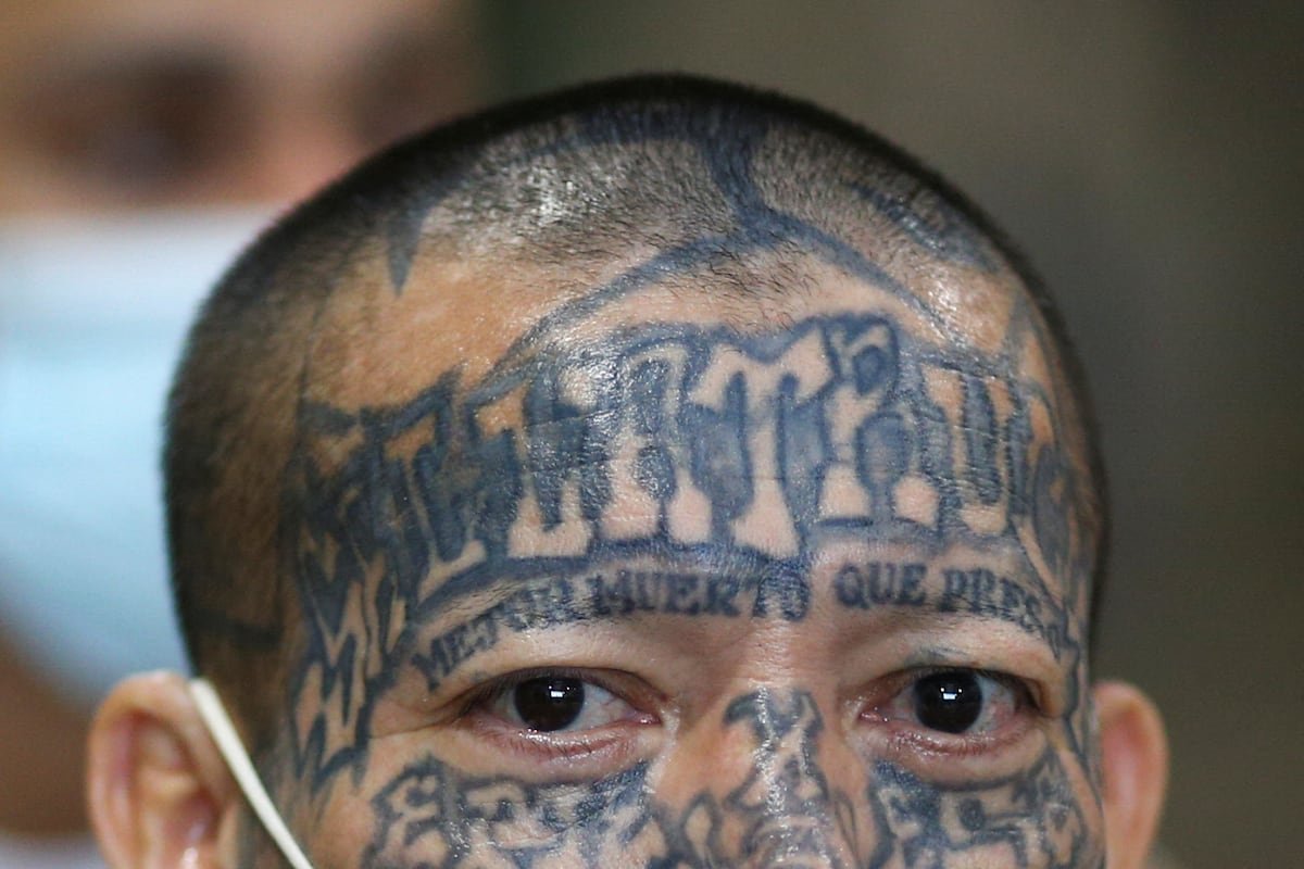 Requests to remove tattoos considered ‘suspicious’ by Trump administration are increasing | U.S.