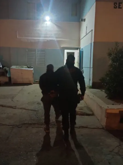 Robó una moto, huyó a contramano y terminó chocando contra un árbol