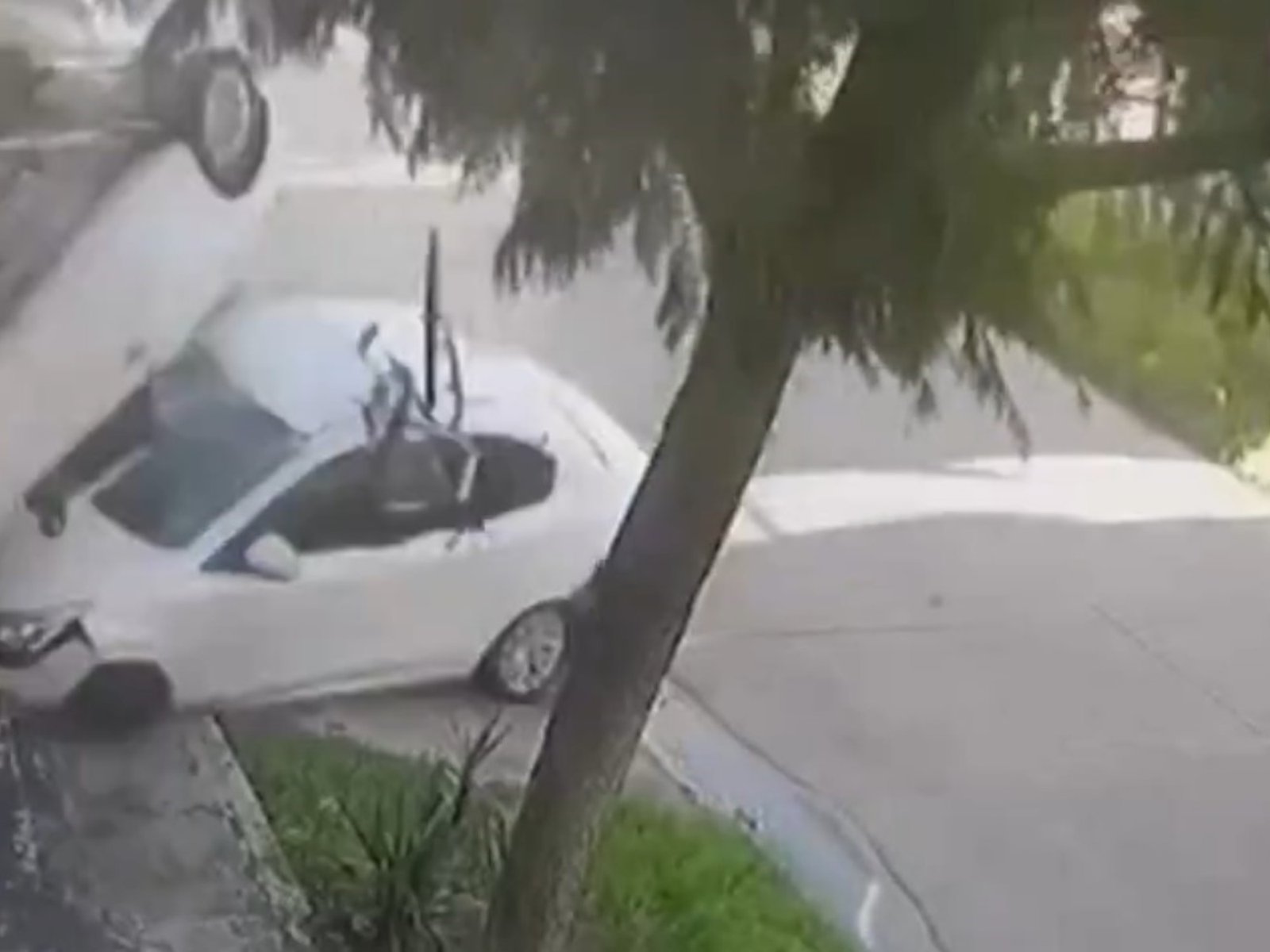 Un conductor atropelló a toda velocidad y mató a una ciclista en Lomas de Zamora