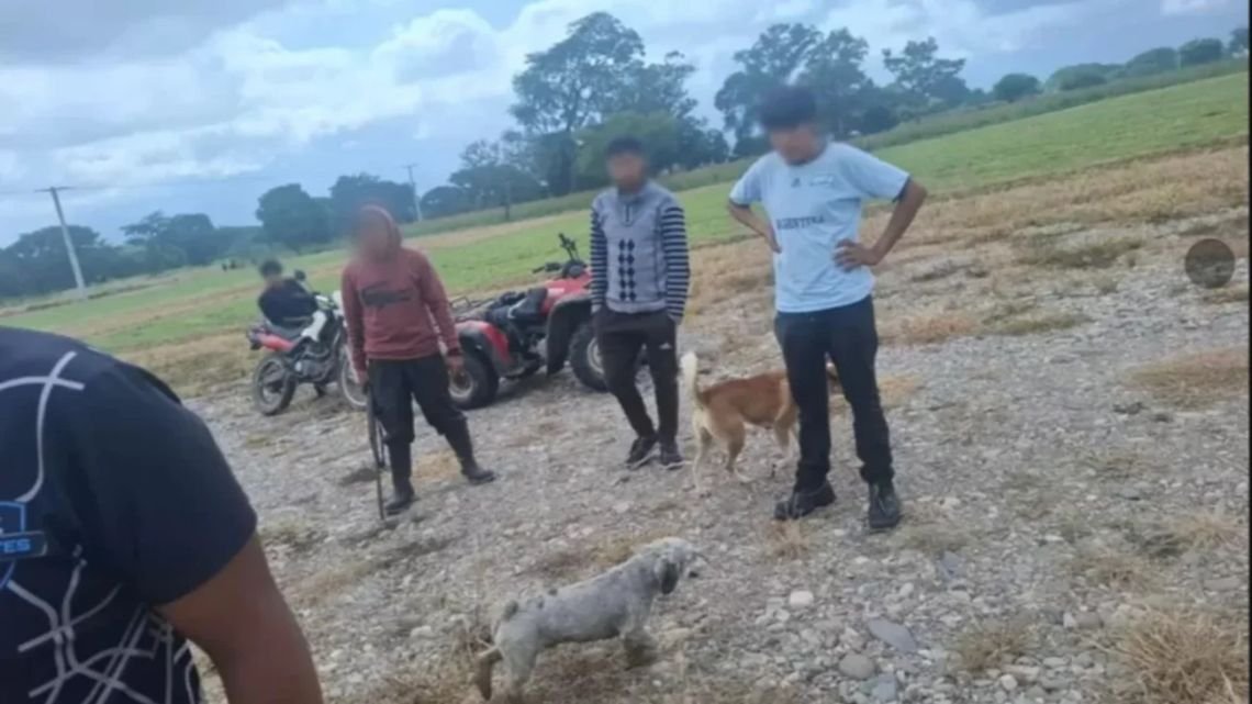 Un hombre fue condenado a dos años de prisión por matar a tiros a una perra en Jujuy
