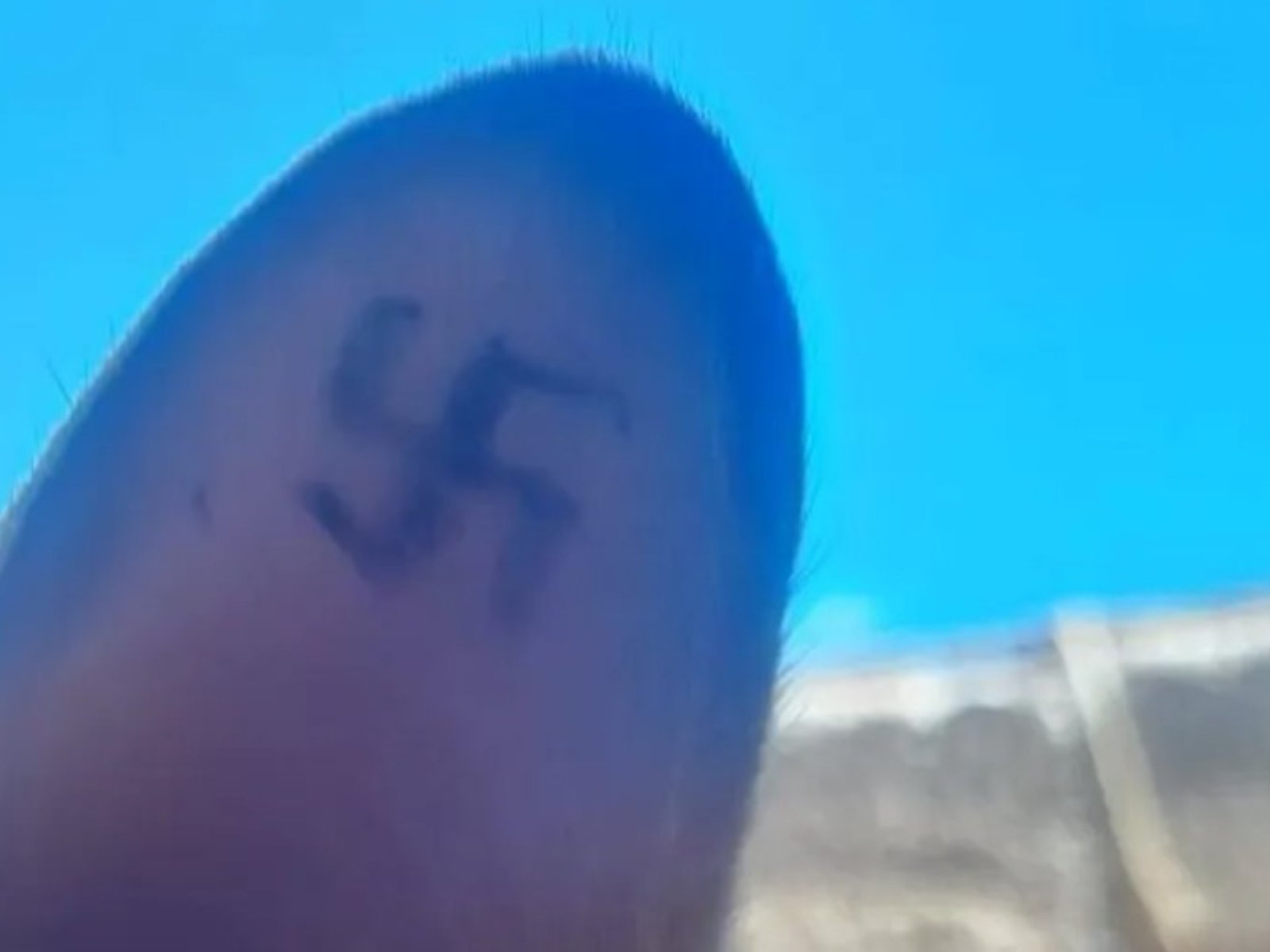 aparecieron perros con cruces esvásticas tatuadas en las orejas