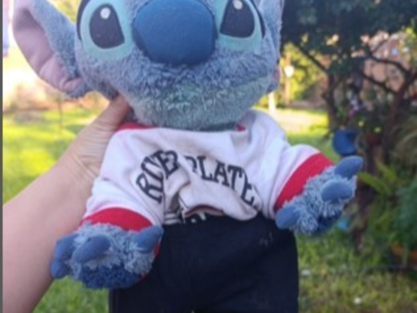 insólito operativo para recuperar el peluche robado a una nena