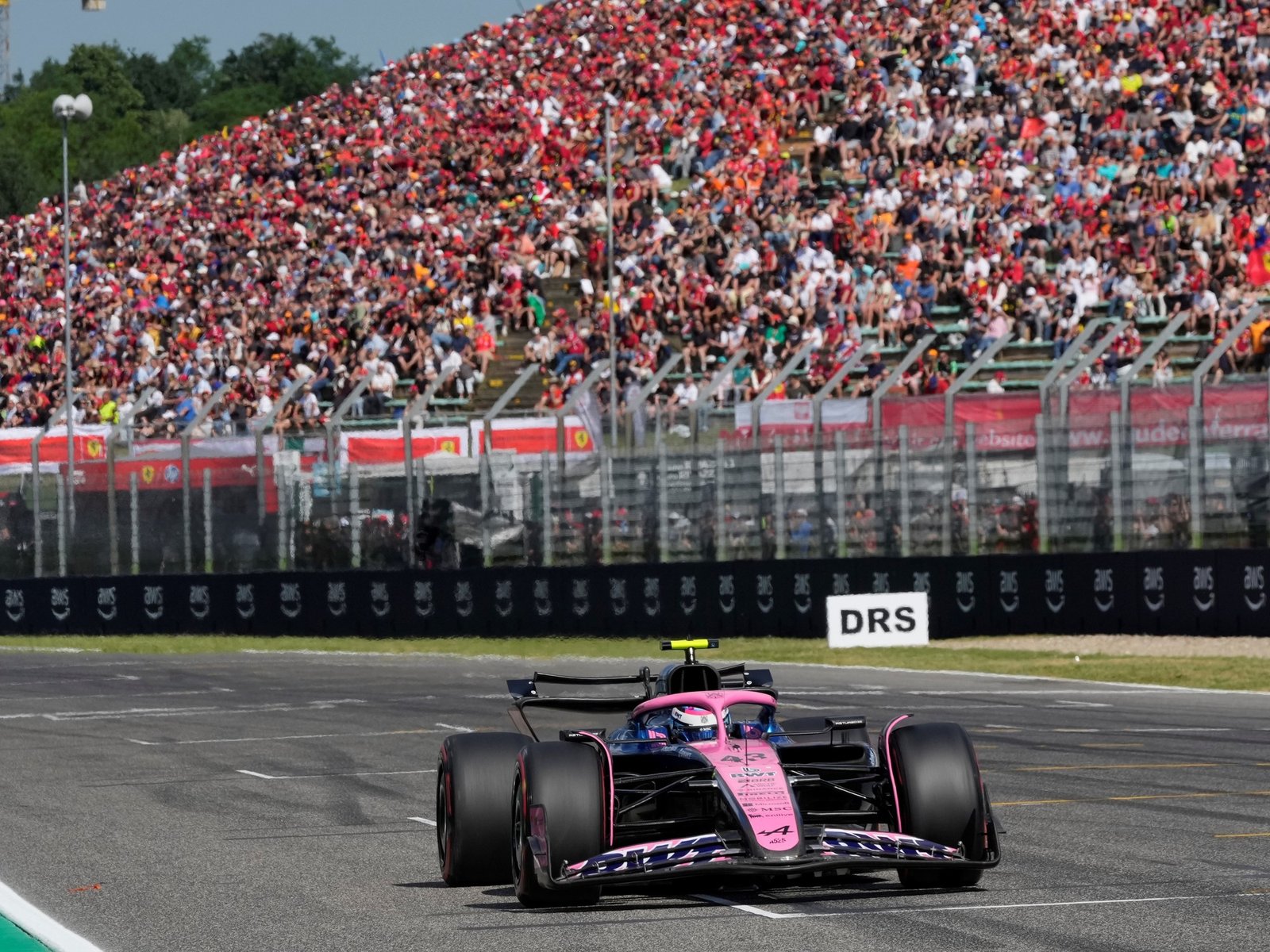 la locura de los miles de argentinos por Colapinto y la nostalgia por el posible adiós a Imola