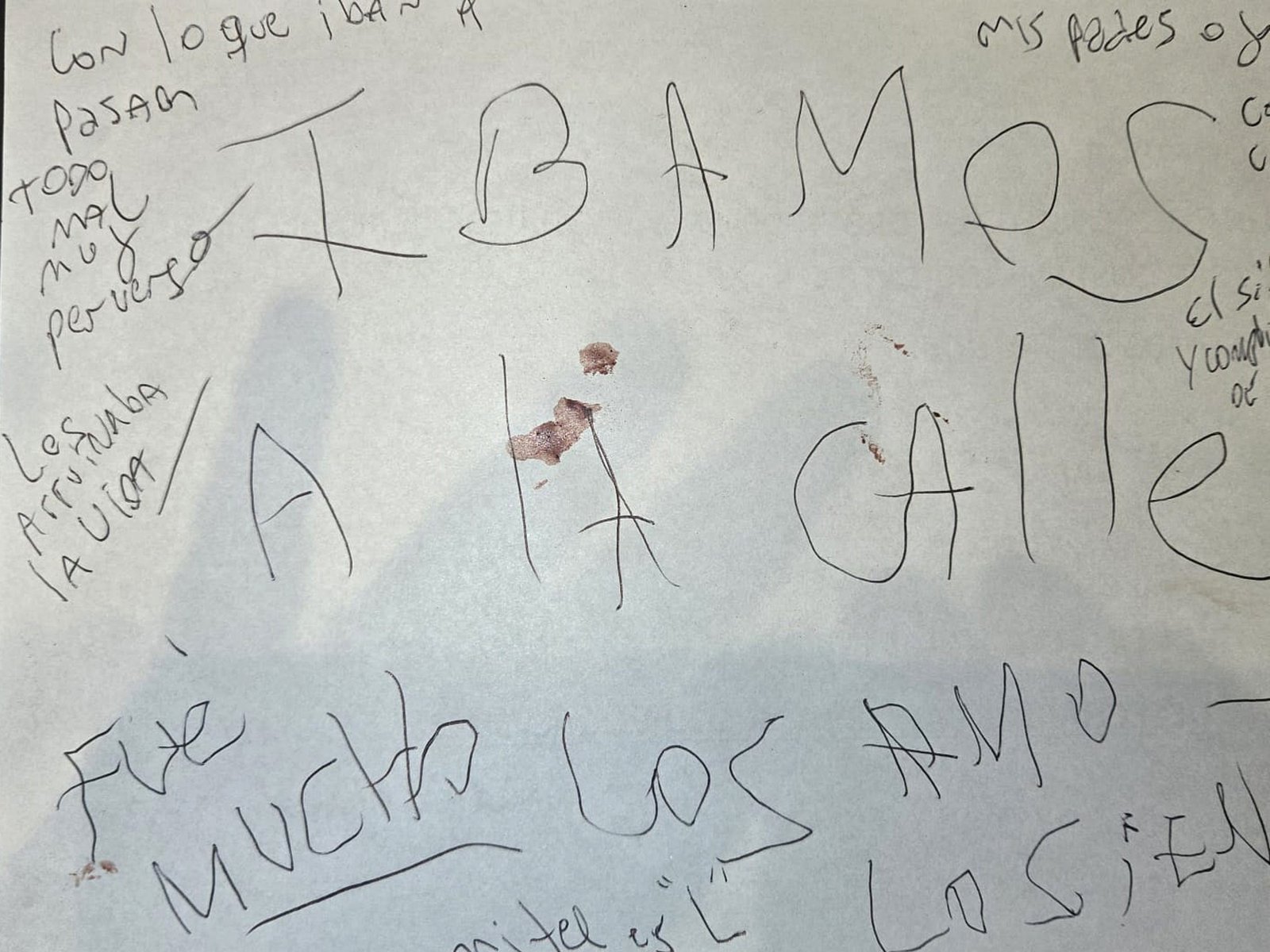 mancha de sangre y una frase que abre nuevos interrogantes