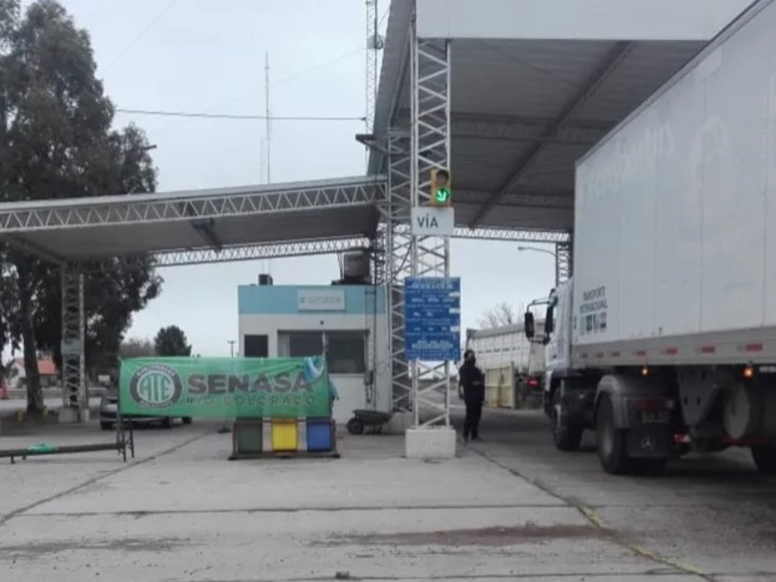 un costillar decomisado, golpes y dos dientes aflojados a un inspector
