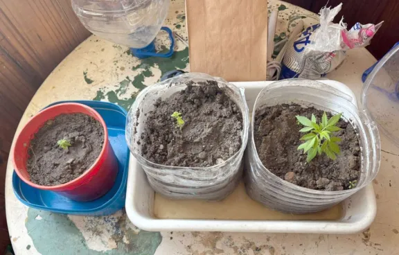 La policía allanó en Rawson una casa por un robo y terminó encontrando drogas