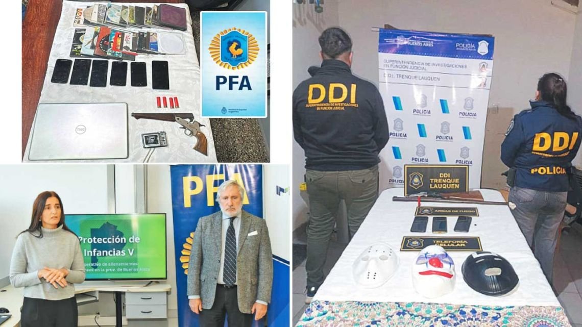 Operativo contra la ciberpedofilia | Perfil