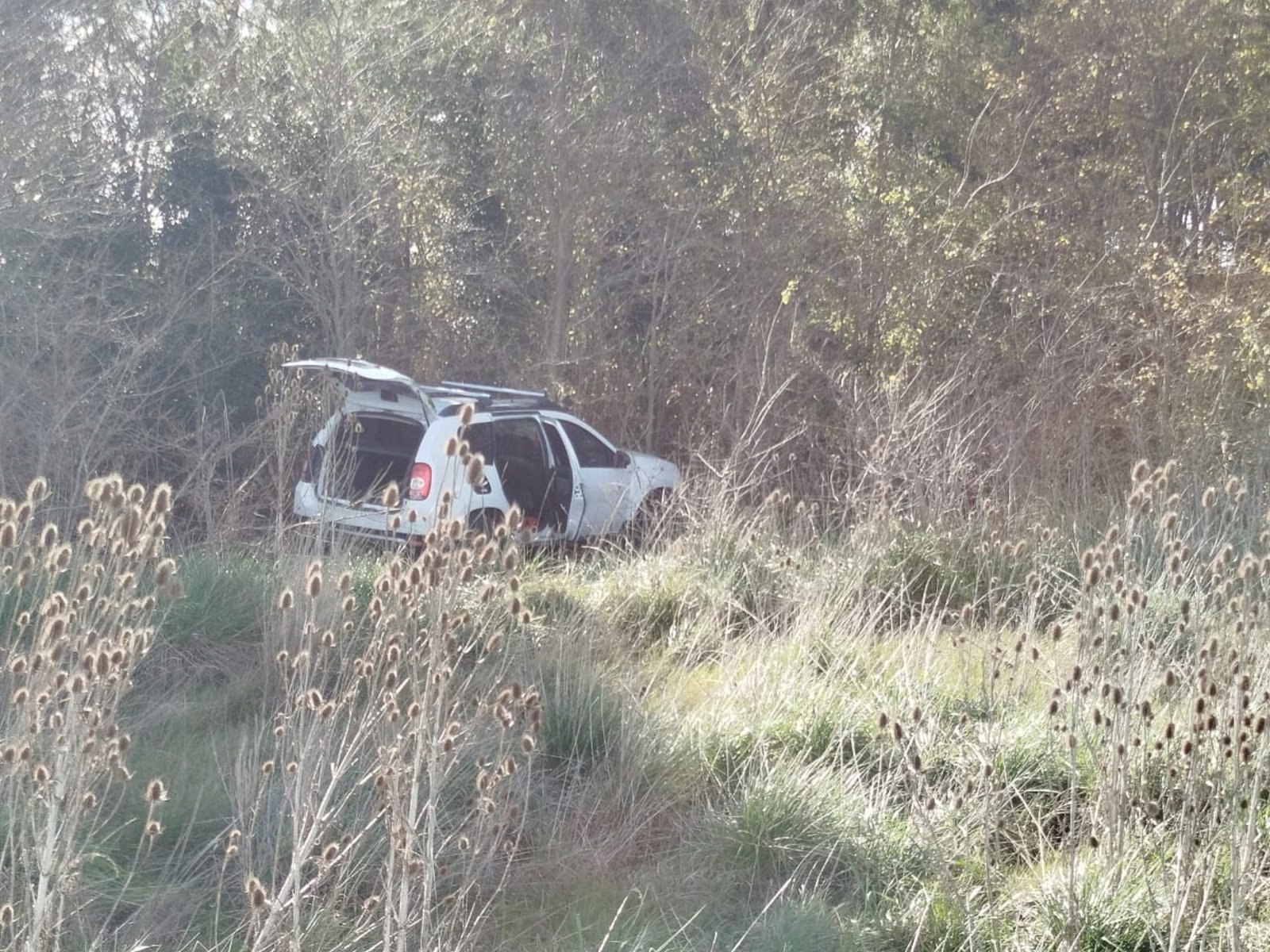 mató a la mujer, salió a la ruta, chocó, ahogó a sus hijos en una zanja y se tiró abajo de un camión