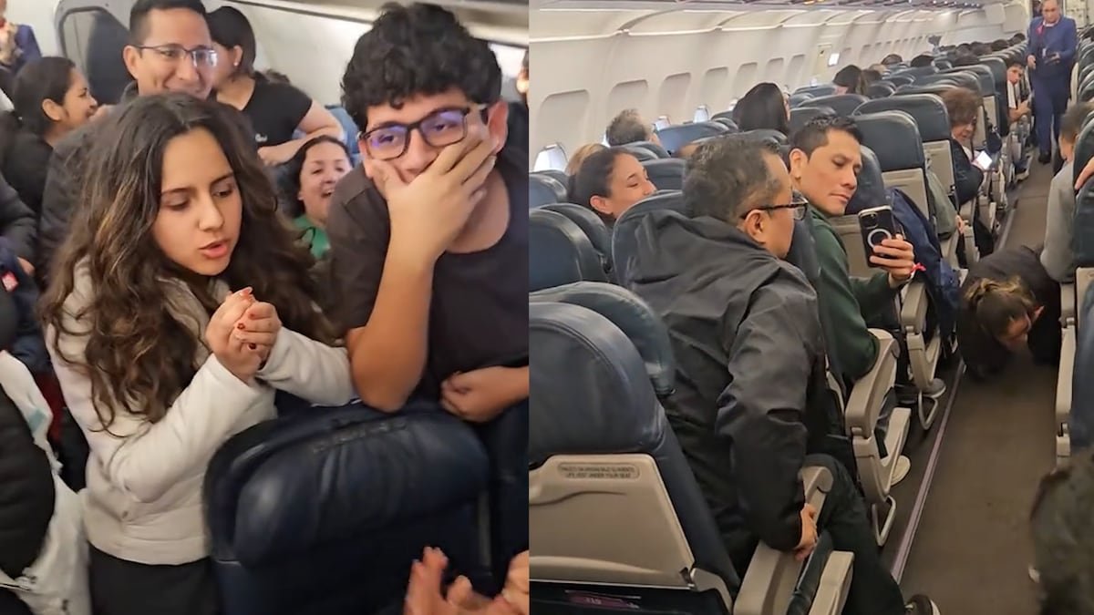 El escape de un hámster a bordo de un vuelo de Latam causa caos en un vuelo en Perú