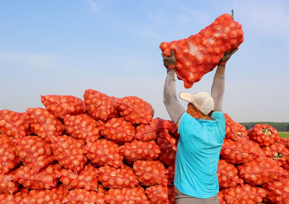 Sorpresa en la familia vegetal: la patata es hija del tomate | Ciencia