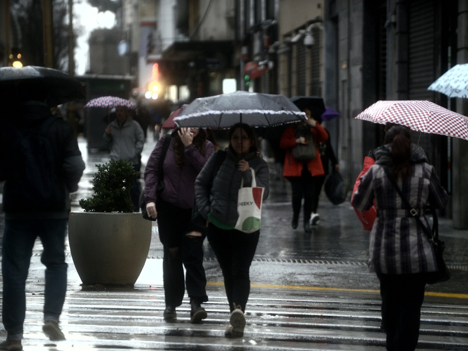 no habrá frío, pero las lluvias y fuertes vientos complican el clima del fin de semana