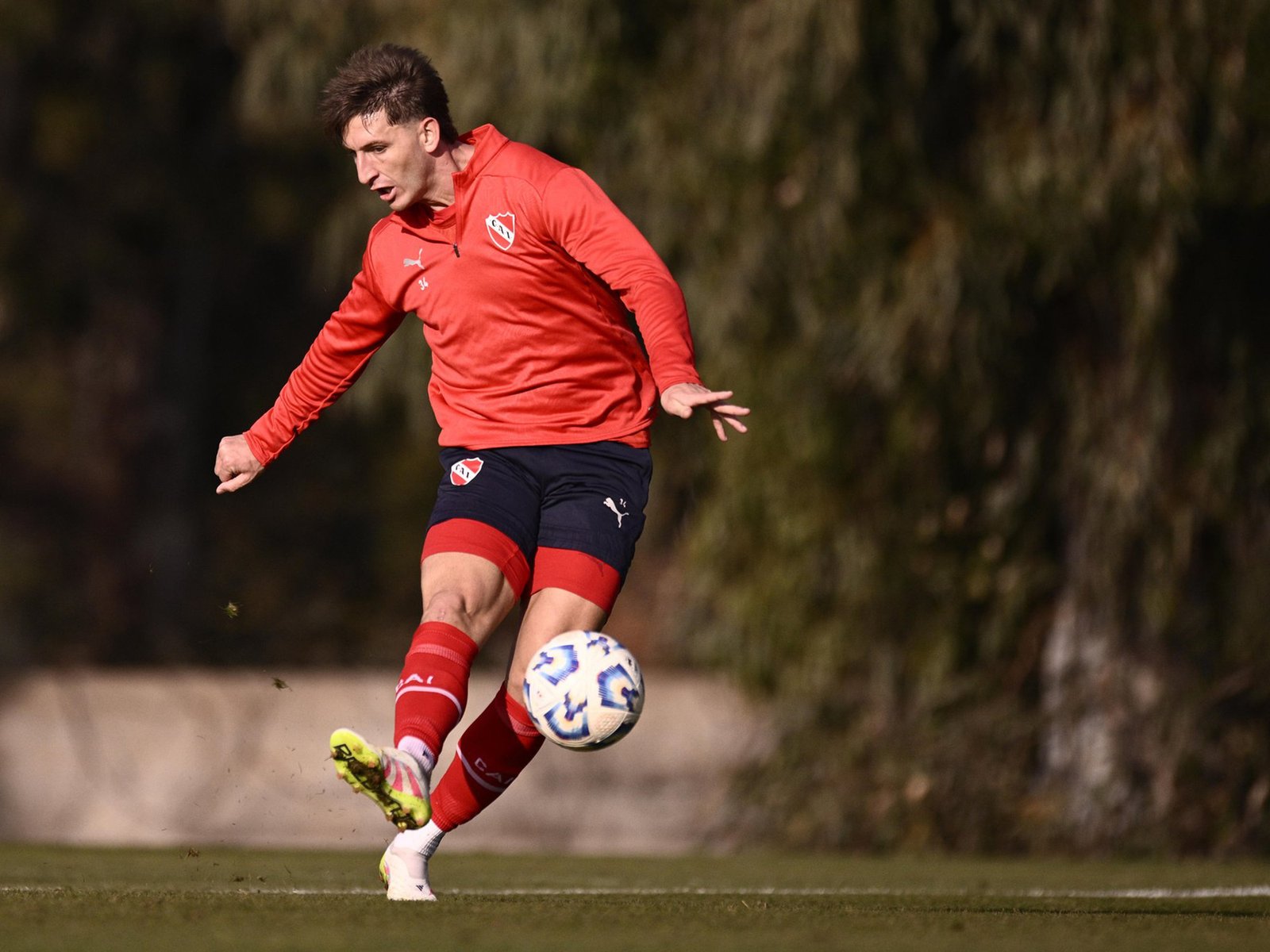 quiénes son los que no seguirán en el plantel de Julio Vaccari