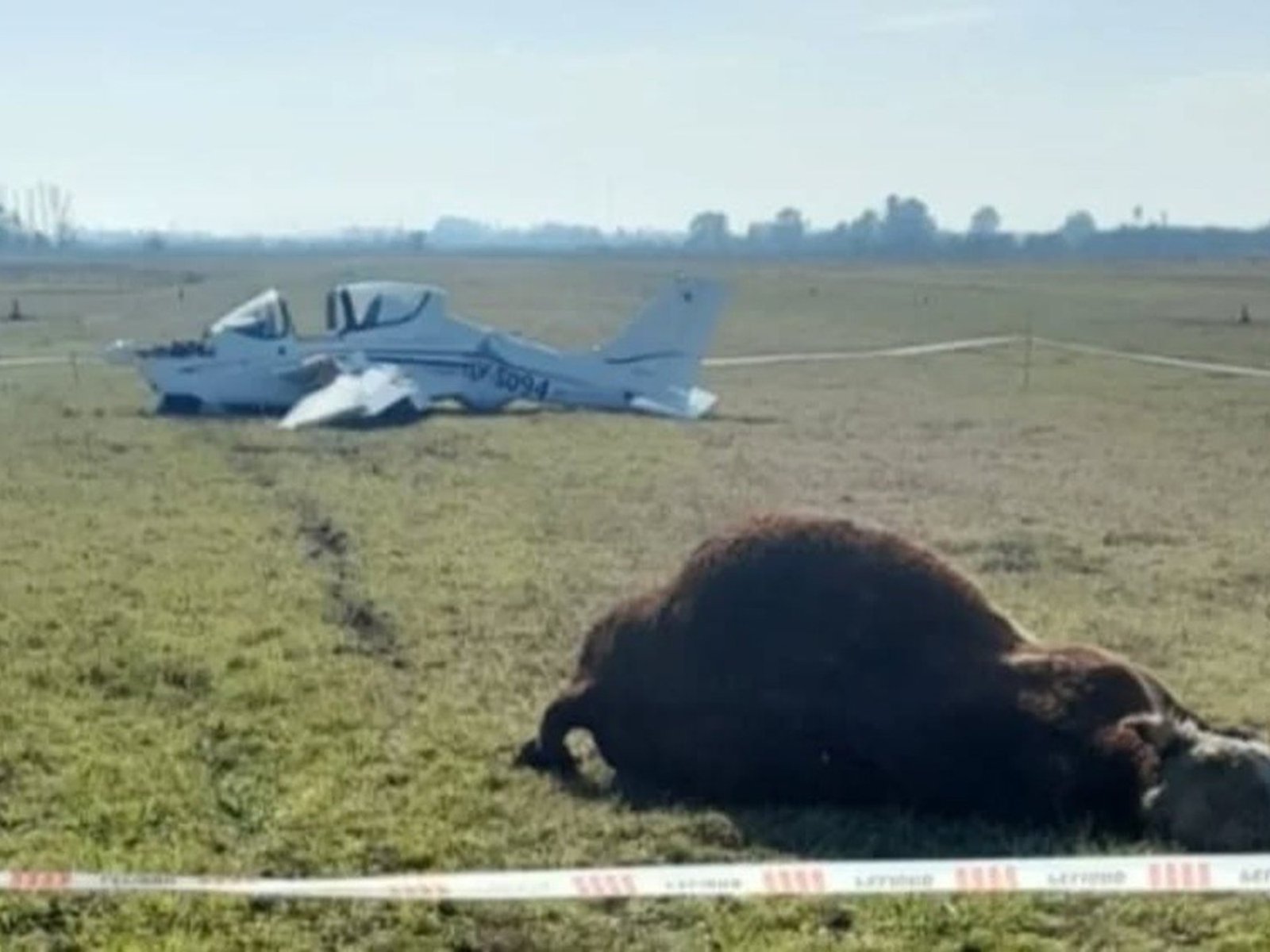 una avioneta chocó contra un toro durante el aterrizaje