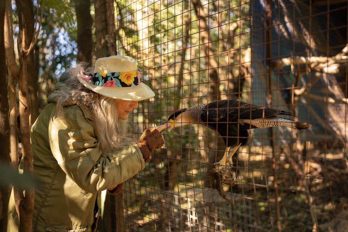 ‘Beba’ Linaro, la argentina que refugió a una decena de animales abandonados por un zoo | América Futura