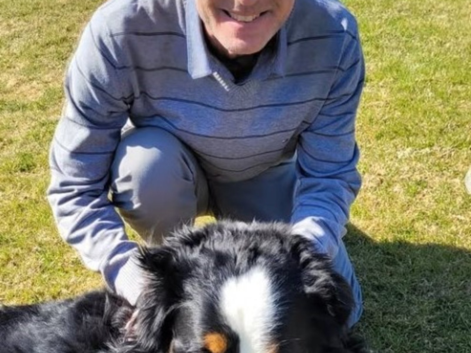 Cómo fue el ataque de cinco pitbulls a un neurocirujano y por qué no denunció al dueño