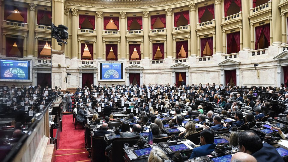Diputados: Una sesión clave contra la motosierra, pero sin el rechazo a los vetos | Se tratarán inanciamiento universitario y la emergencia en el Garrahan