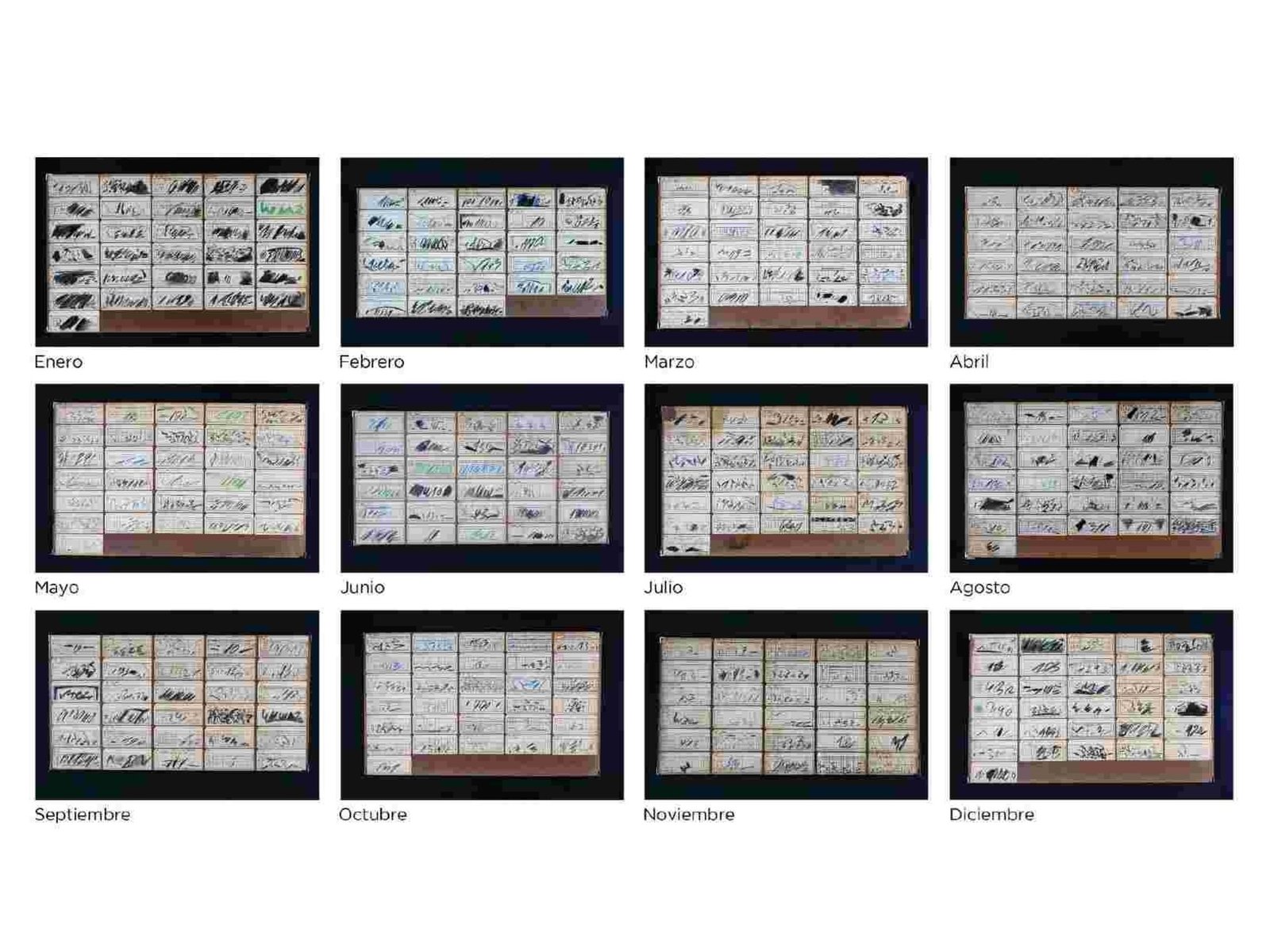 Nora Iniesta expone ‘365, año calendario’ a 41 años de su primera muestra