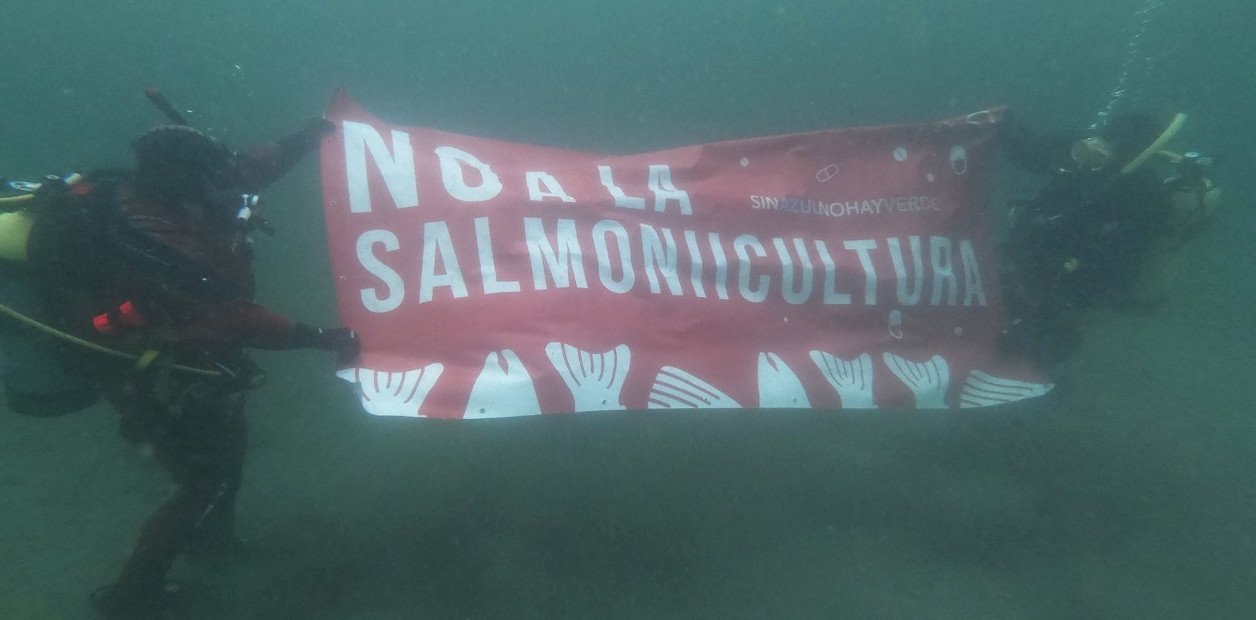Polémica en Tierra del Fuego por un proyecto para permitir las salmoneras