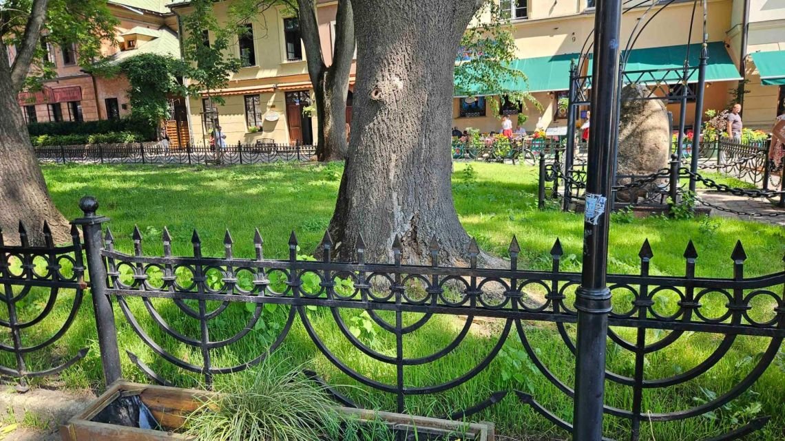 Un parque temático | Perfil
