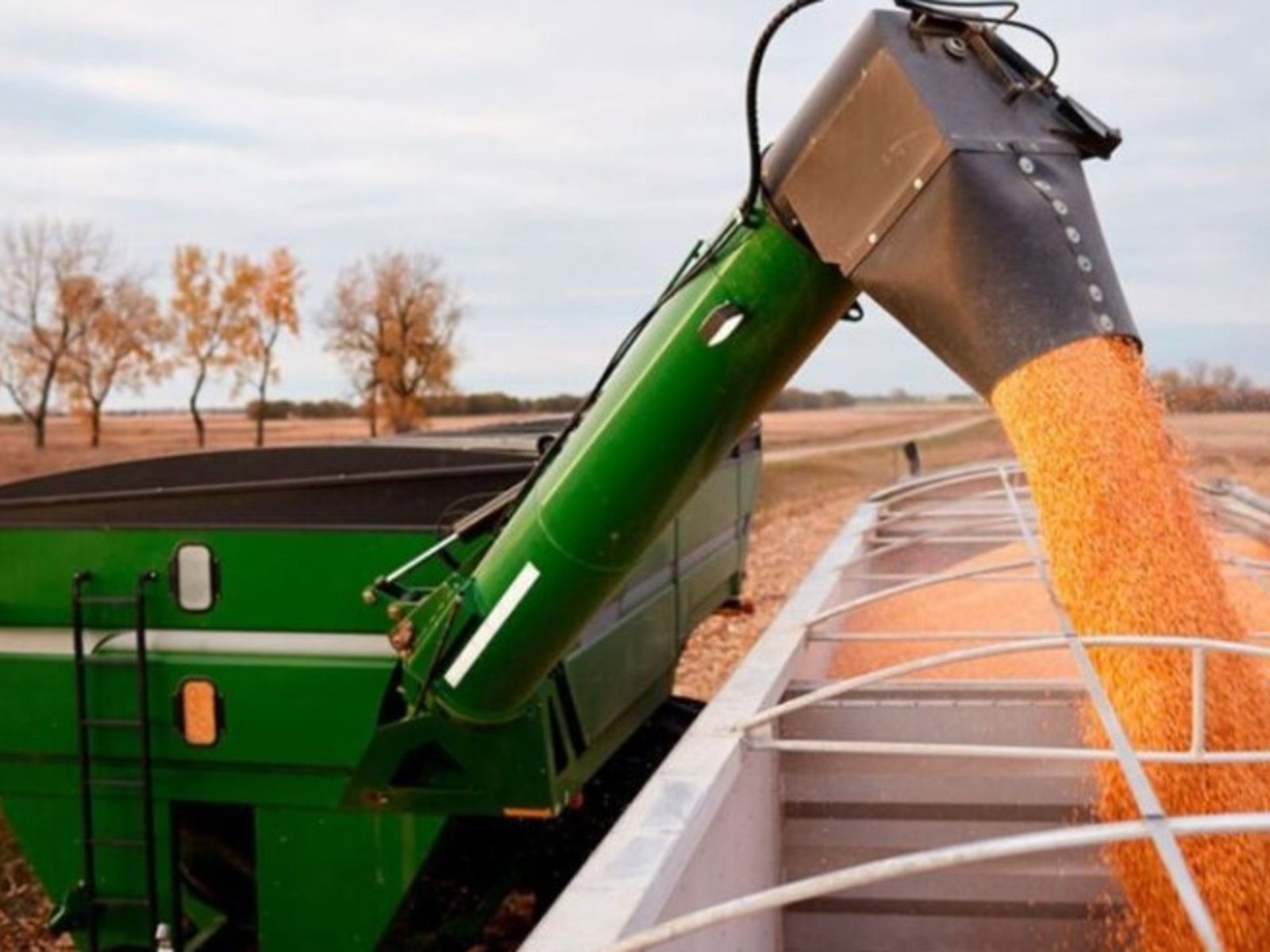 murió una nena de 5 años al caer en una tolva de granos