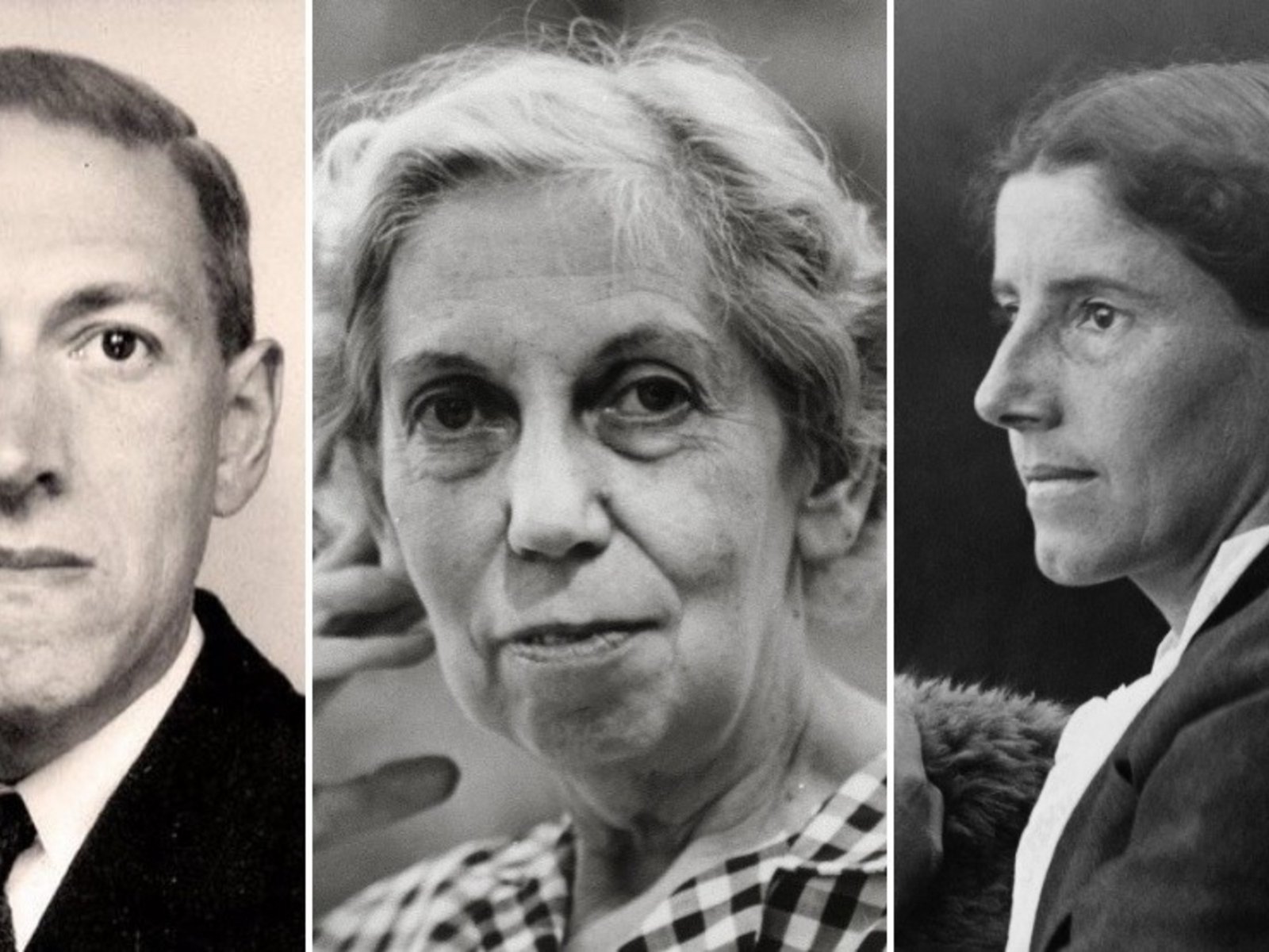 relatos góticos y perversos sobre el mundo vegetal