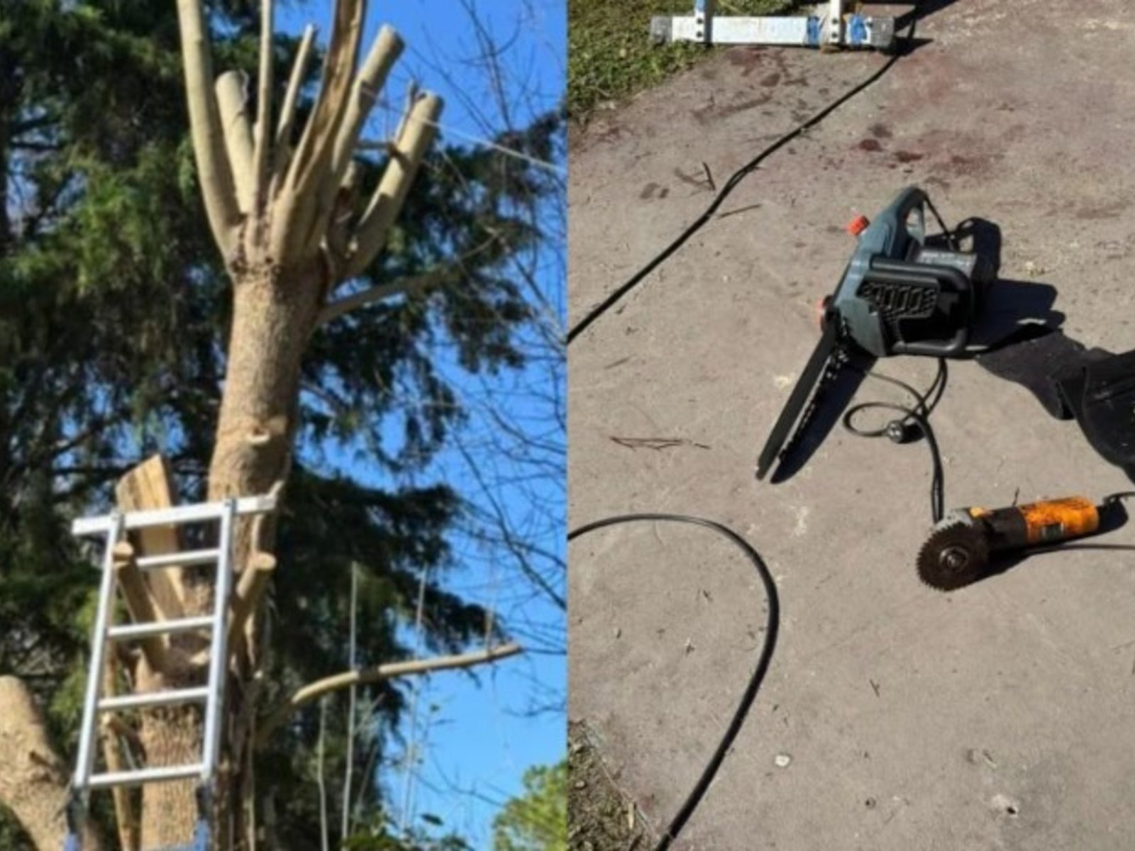 un jubilado de 86 años murió tras cortarse con una motosierra mientras podaba un árbol en su casa