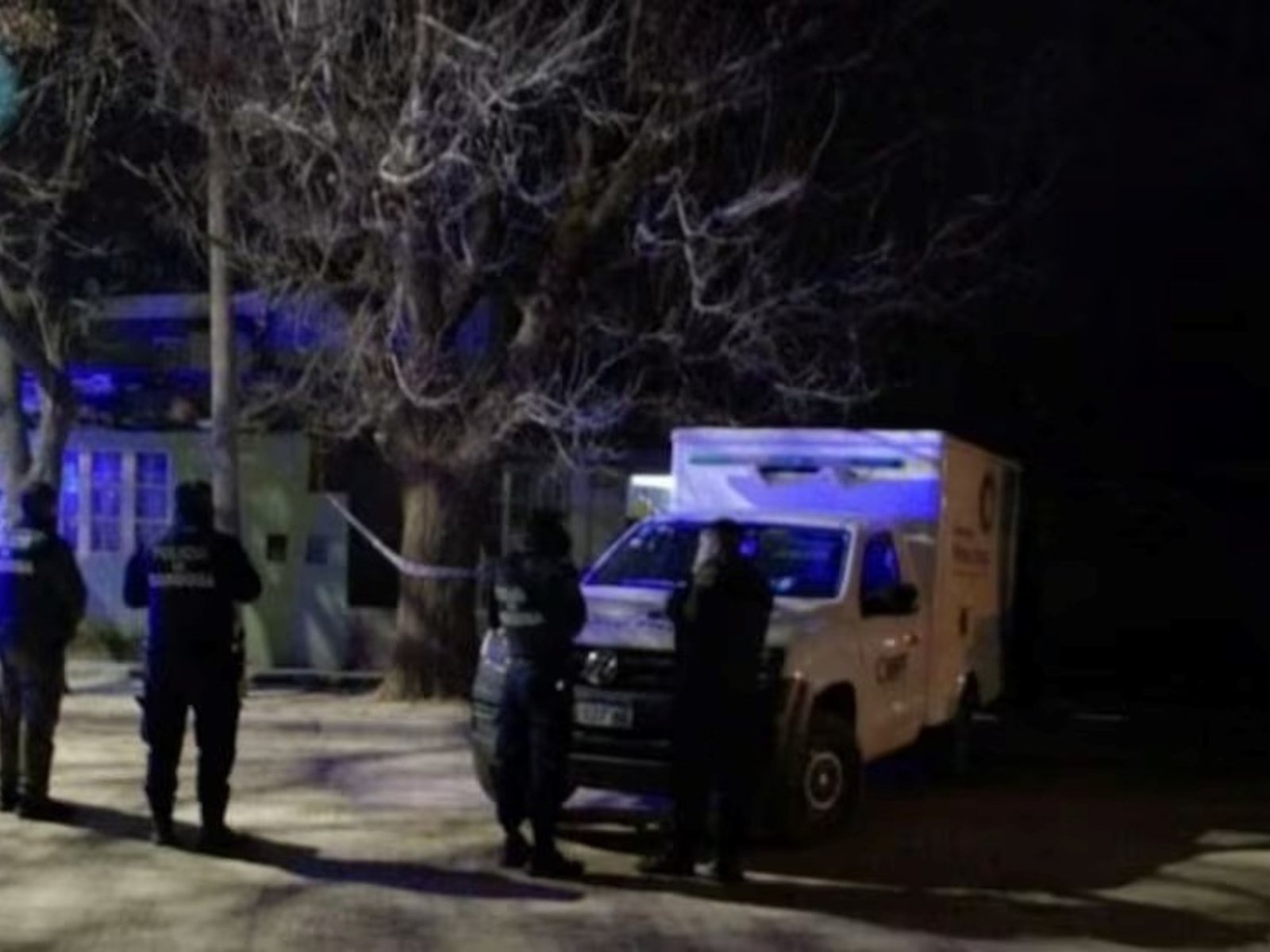 una mujer bajo tratamiento psiquiátrico mató a cuchillazos a su hijo de 14 años