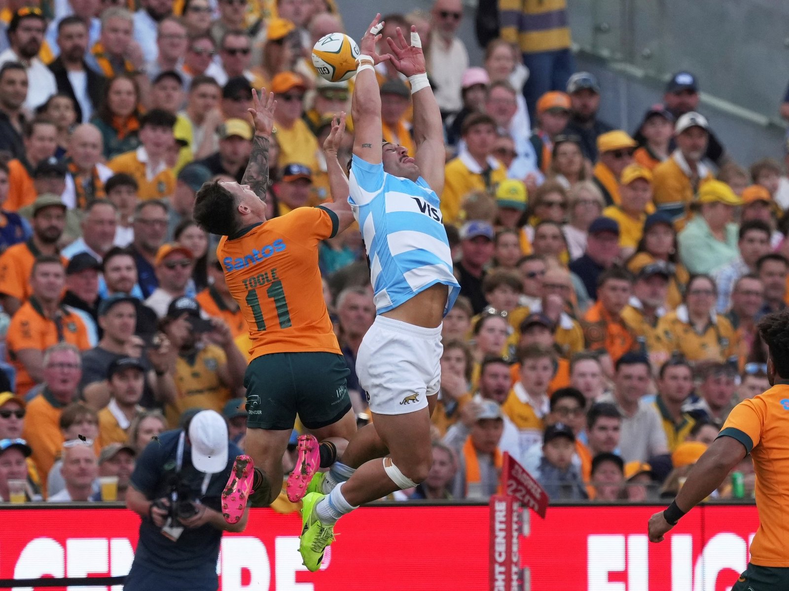 Australia vs Los Pumas, por el Rugby Championship EN VIVO: minuto a minuto, en directo